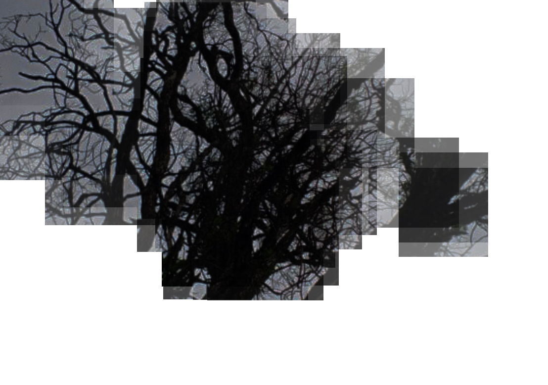 Background Animation - CSS Animation project